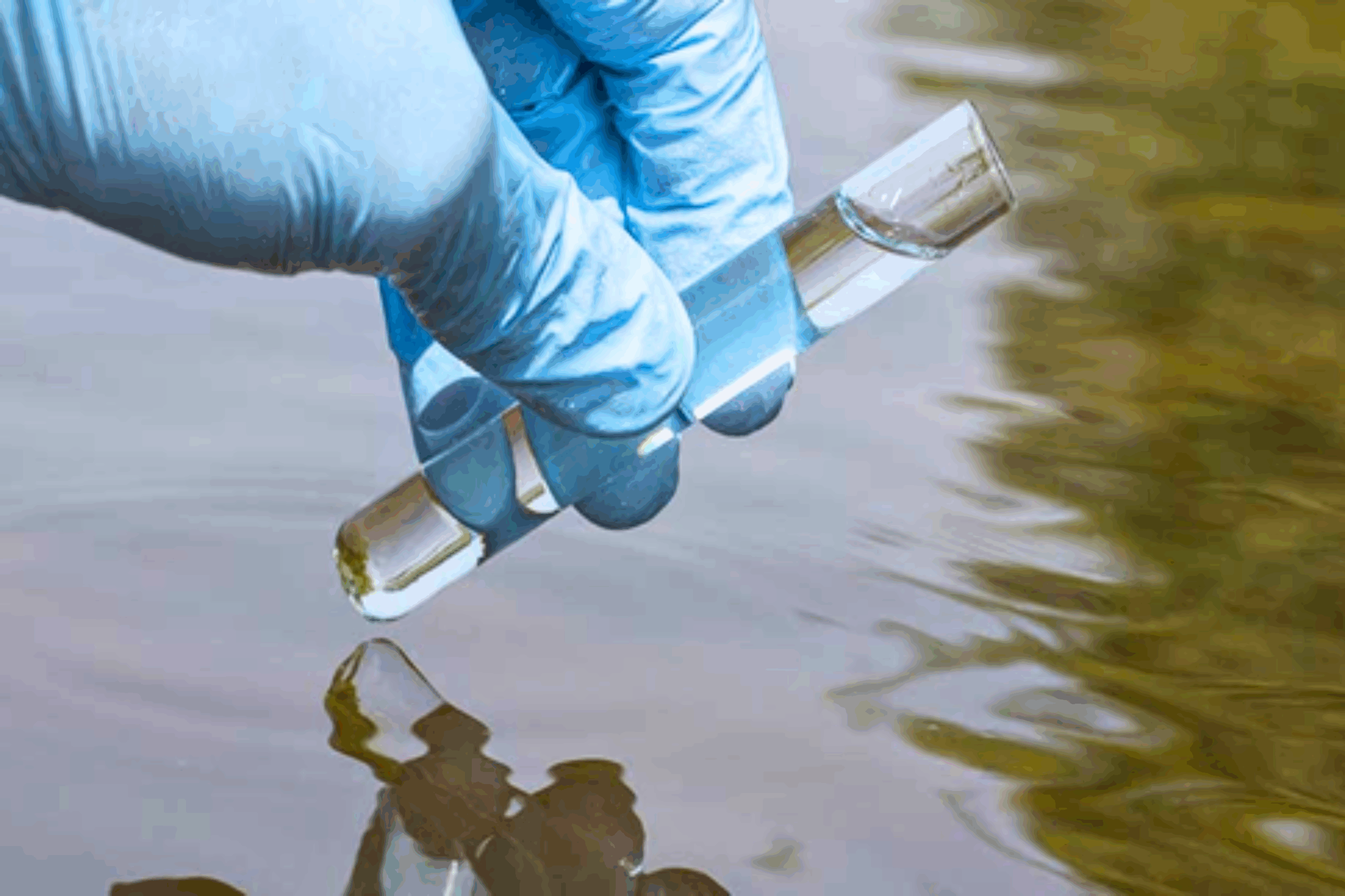 सिंचनाच्या पाण्याची गुणवत्ता चाचणी: निरोगी पिके आणि सुरक्षित वापर सुनिश्चित करणे